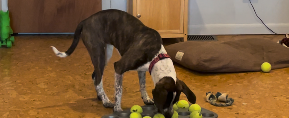 Indoor Fun with Household Objects